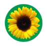 a small sunflower icon